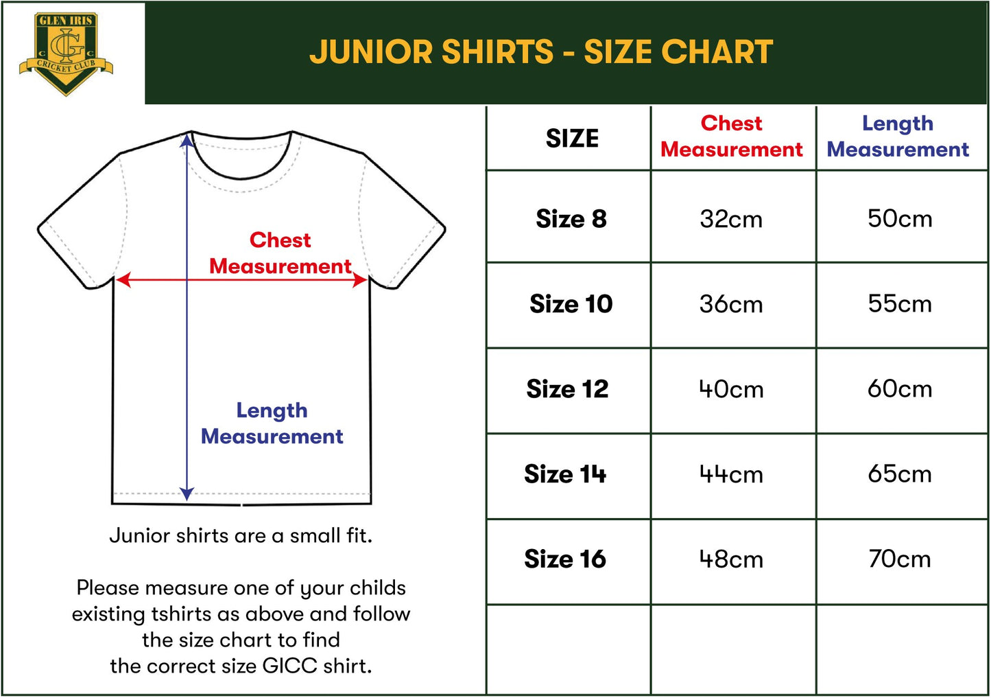 GICC Junior Green Playing Shirt